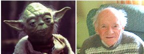 Yoda and Stuart Freeborn